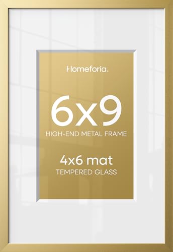 6x9 Gold Picture Frame