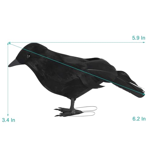 Halloween Birds (6 Count)