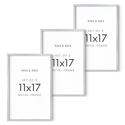 11x17 Silver Metal Picture Frames