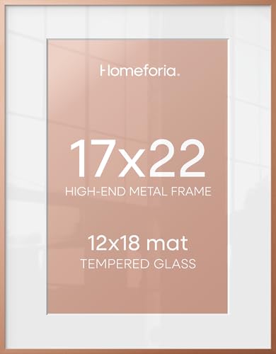 17x22 Rose Picture Frame