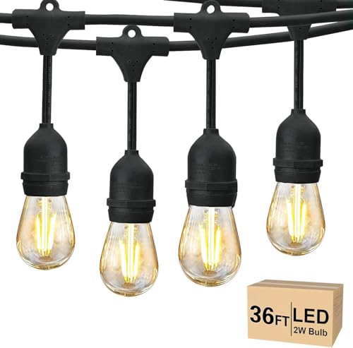 36 FT Outdoor String Lights 2W LED Antique Edison Waterproof ETL (36 Foot)