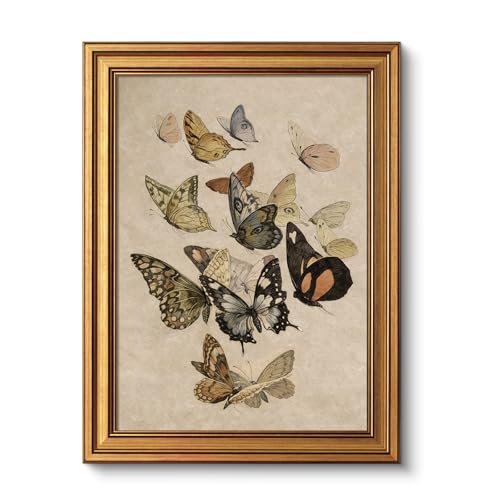 Gold Framed Vintage Multi Butterflies Wall Art
