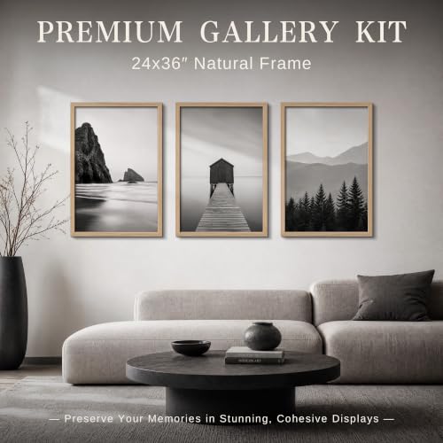 24x36 Poster Frame Set of 6