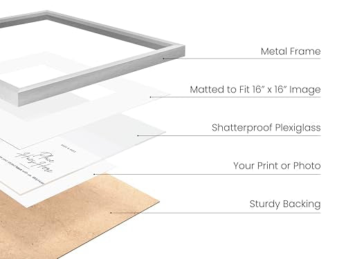 20x20 Silver Metal Picture Frames Matted to 16x16
