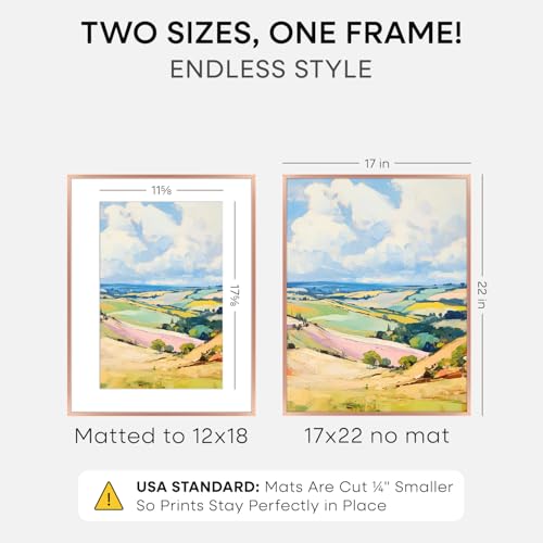17x22 Rose Picture Frame