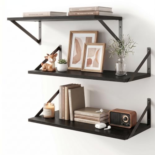 Black Floating Shelves 24 Inch Long