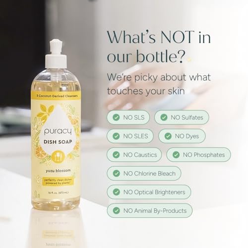Natural Dish Soap (16 Fl Oz)