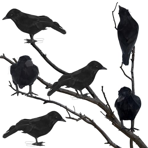 Halloween Birds (6 Count)