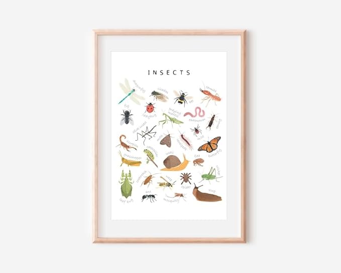 OZCONO Educational Insects Poster, Bugs Learning Chart Kids, Classroom Wall Decor Art, Montessori Homeschool Aid (Unframed) (11x14)