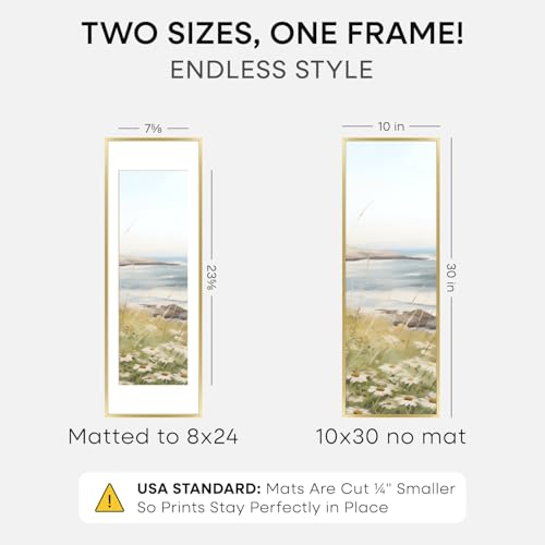 10x30 Gold Picture Frame