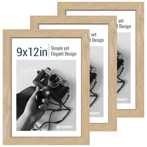 9x12 picture frame 3 Pack (3 Count)