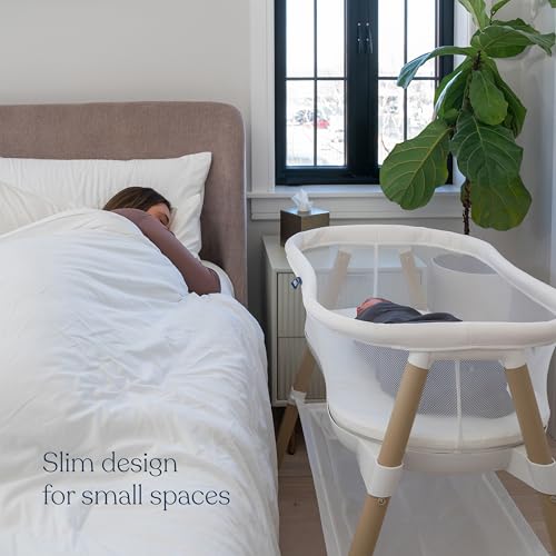 BassiNest® Essential Sleeper