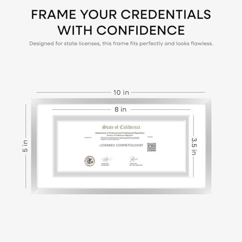 5x10 Silver License Frame (3 Count)