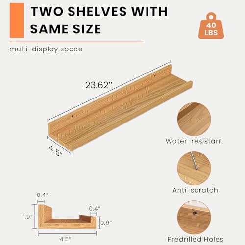 Picture Ledge Shelf (2 Count)