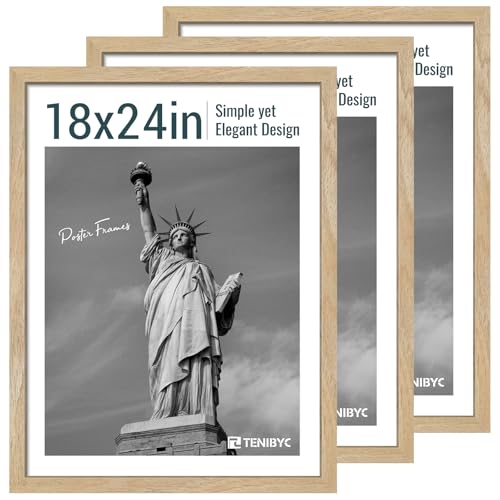 18x24 Poster Frame (3 Count)