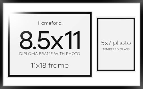 11x18 Black Diploma Frame (2 Count)