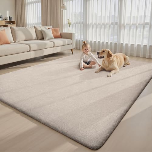 6x9 Area Rugs for Living Room Bedroom