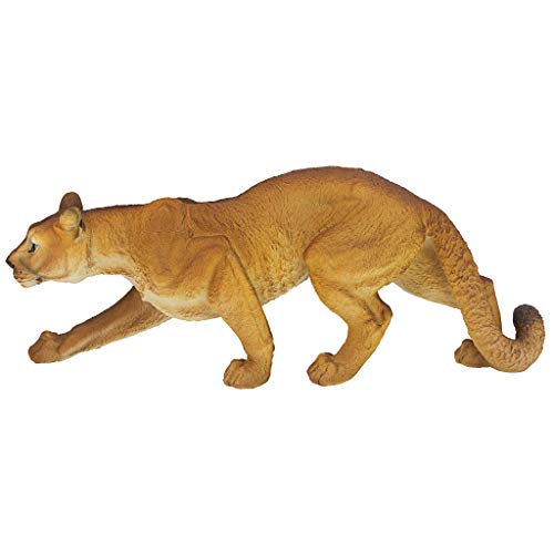 Prowling American Mountain Cougar Indoor