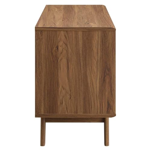 Render Mid Century Modern Vinyl Record Storage Display Cabinet