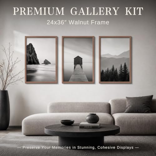 24x36 Poster Frame Set of 6