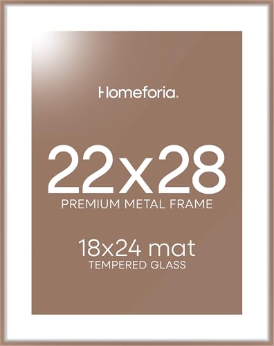 22x28 Mocha Poster Frame