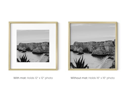 16x16 Gold Metal Picture Frame Matted to 12x12