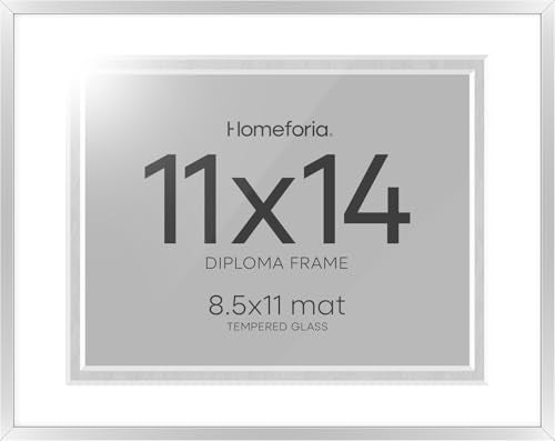 11x14 Silver Diploma Frame (3 Count)