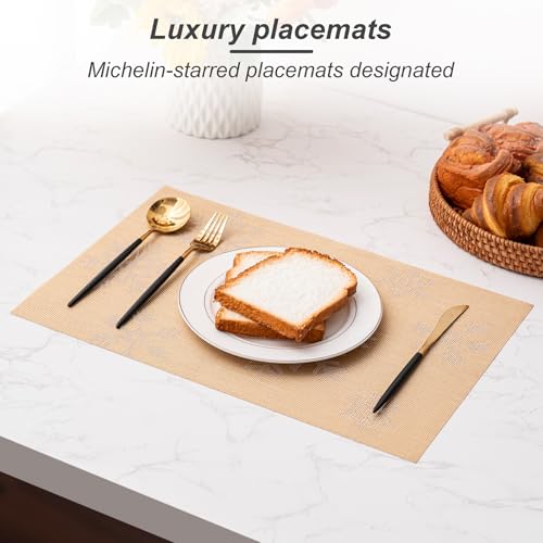 Placemats Set of 6 Washable Indoor (6 Count)