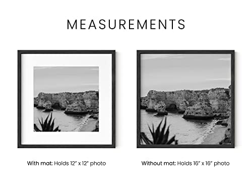 Black Oak Wood 16x16 Picture Frames (6 Count)