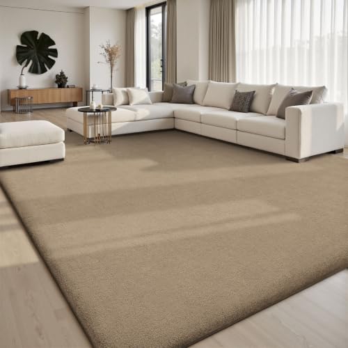 5x7 Area Rugs for Living Room Bedroom