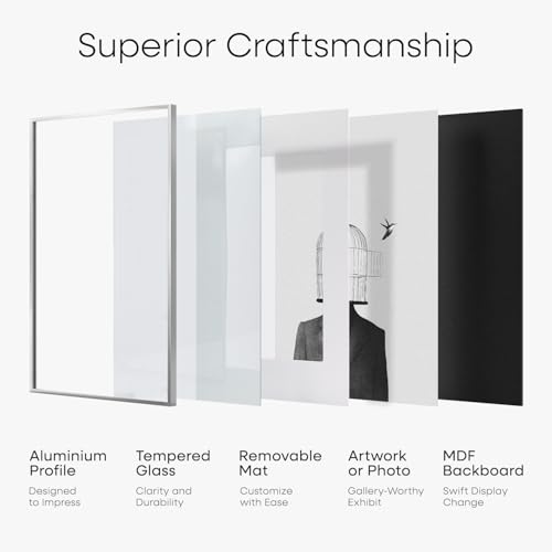 11x18 Silver Diploma Frame (2 Count)