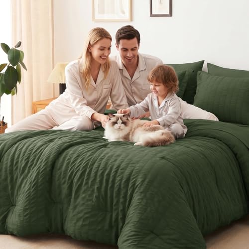 Queen Comforter Set