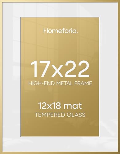 17x22 Gold Picture Frame