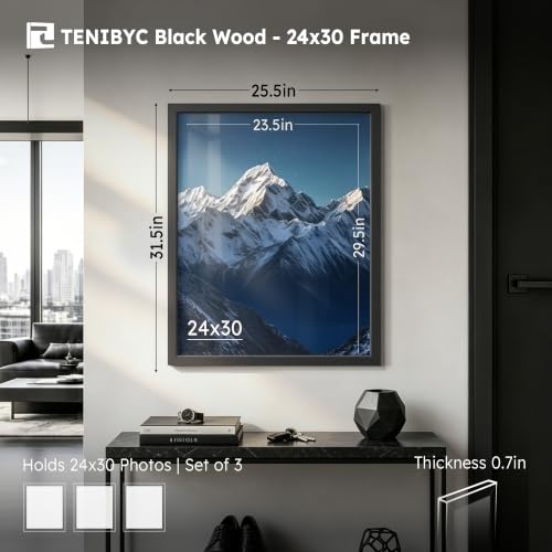 24x30 Picture Frame (3 Count)