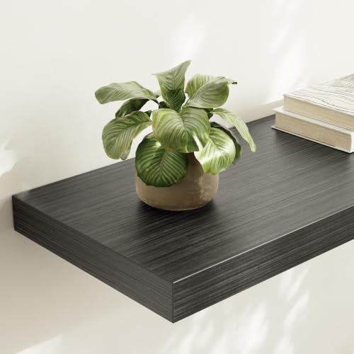Floating Shelf (3 Count)