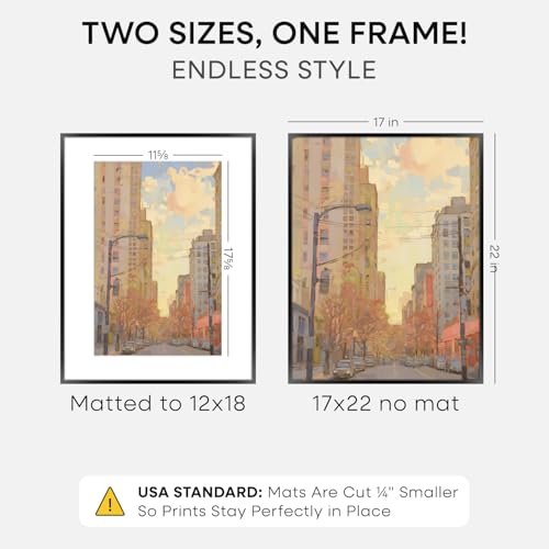 17x22 Black Picture Frame (2 Count)