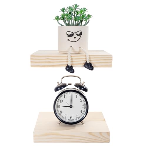 Small Wood Floating Shelves (2 Count)