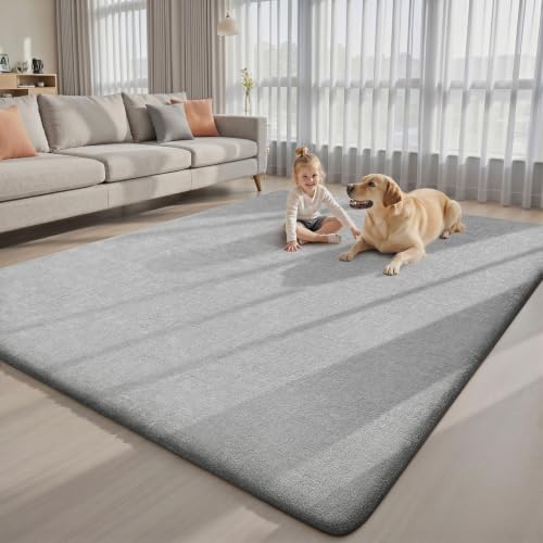 4x6 Area Rugs for Living Room Bedroom (24 Sq Ft)
