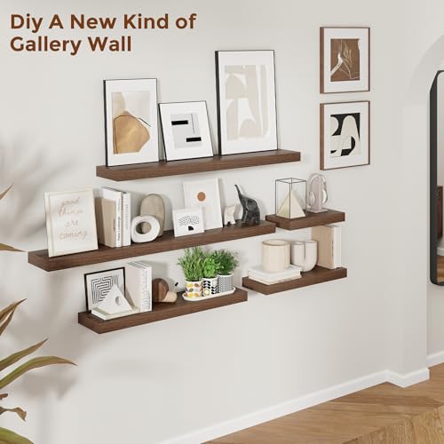 24 Inch Floating Shelves for Wall Walnut Shelves Set of 2 (2 Count)