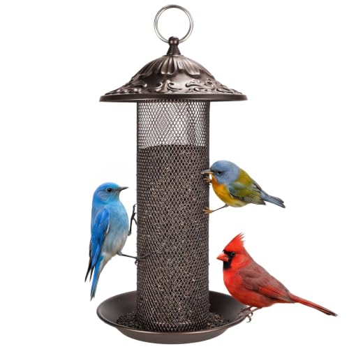 Nyjer Thistle Seeds Wild Bird Feeder