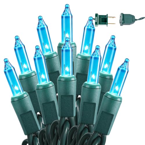 Teal Christmas Lights Outdoor 100 Count 19.7ft Incandescent Lights