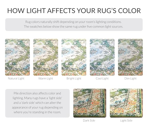 Monaco Collection Area Rug (7.06 Sq Ft)