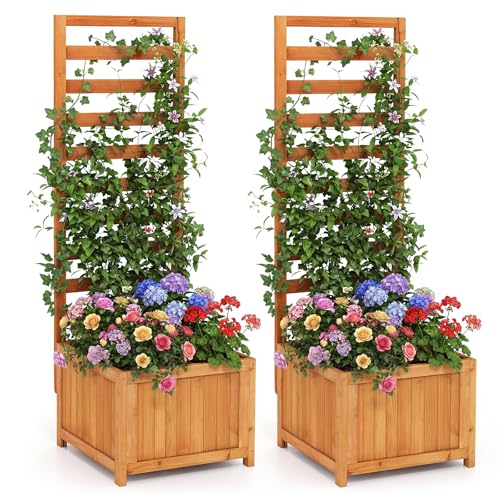 48" Raised Garden Bed with Trellis & Garden Box