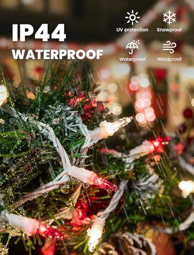 Red and Clear Christmas Lights (13 Foot)