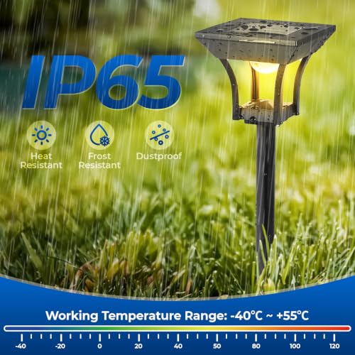 RGBCW Solar Pathway Lights Outdoor (24 Count)
