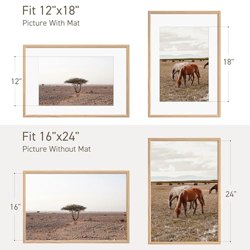 16x24 Poster Frame Set of 4 Natural Solid Oak Photo Frames with 12x18 Removable Mat Wall Hanging Large Handcrafted Frame with HD Plexiglass Wall and Tabletop Display Large Picture Frame (4 Count)