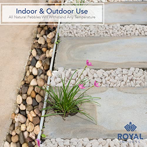 River Rocks Aquarium Gravel