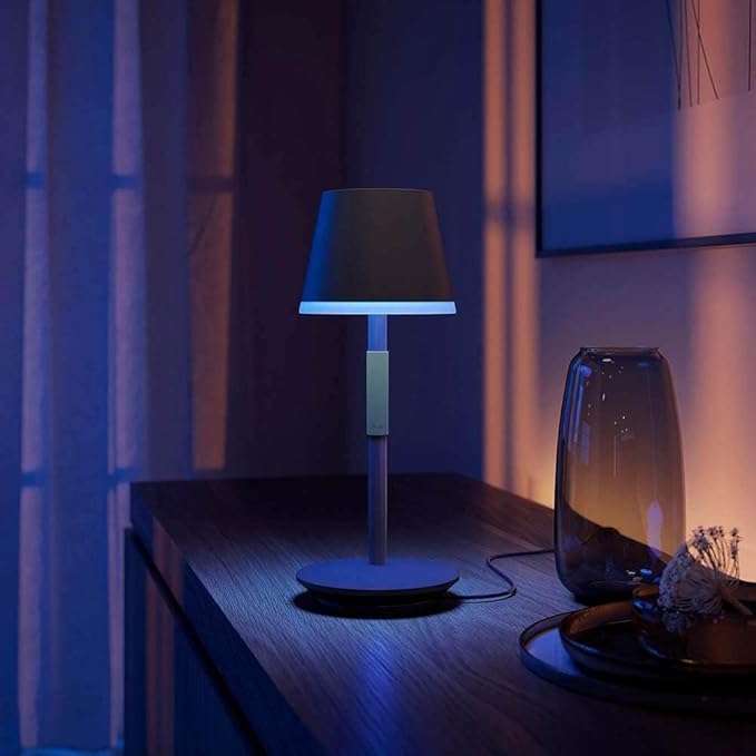 Philips Hue Go Smart Portable Table Lamp, 1 Pack, Smart LED Lamp