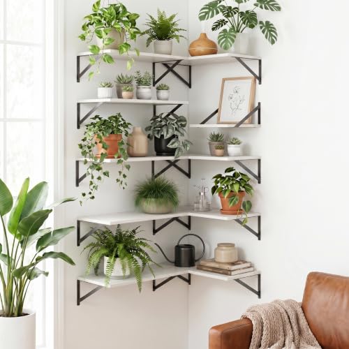 White Floating Shelves 24 Inch Long