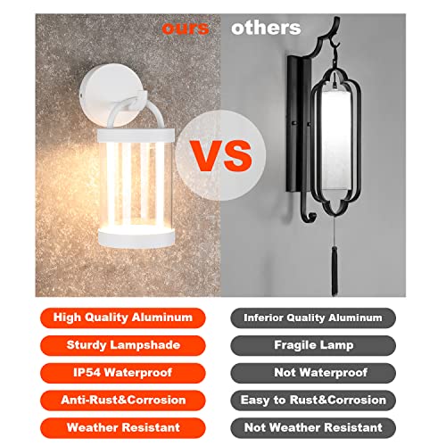 LED Wall Sconce Light Outdoor